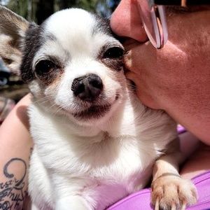 Meet your Posher, Denis